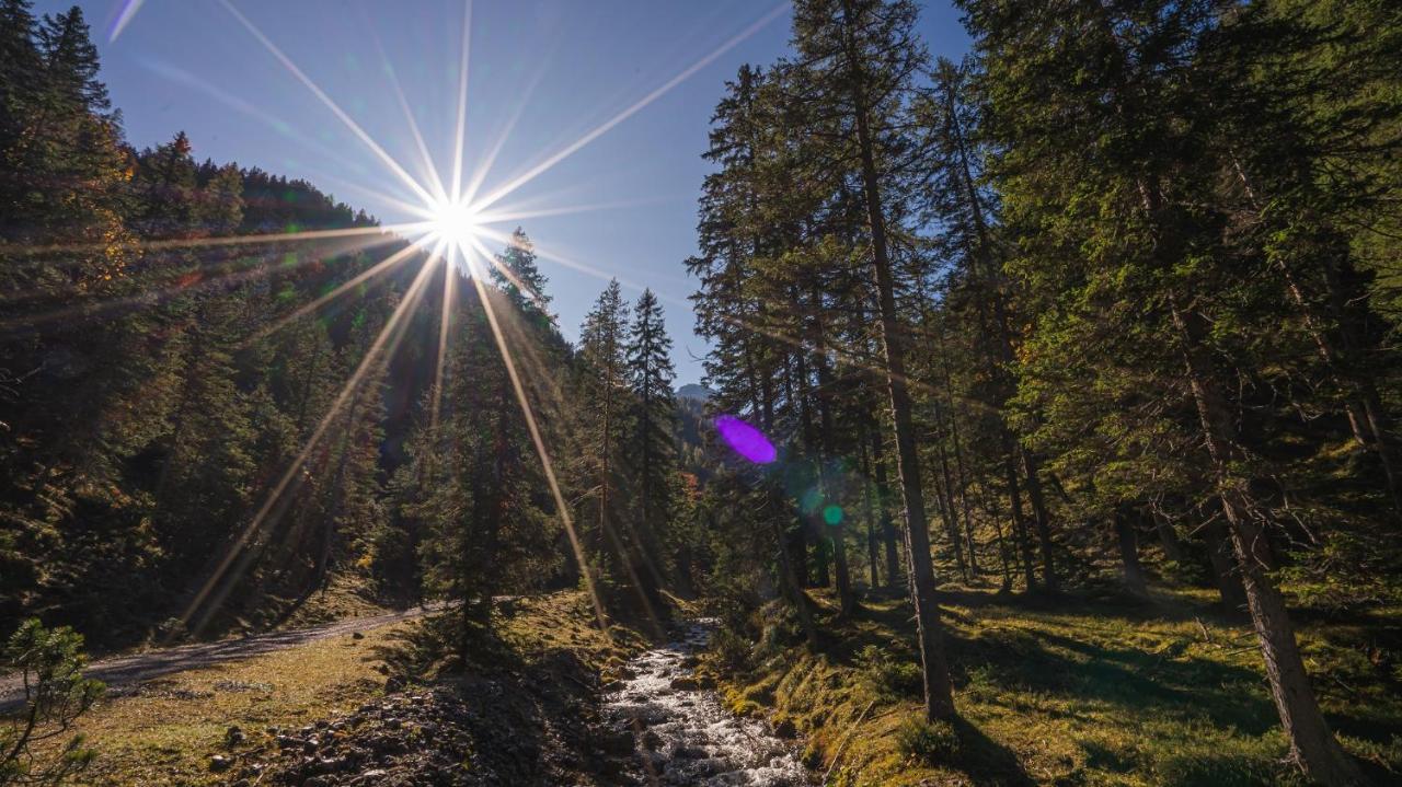 Hotel Garni Isarlodge Wiesenhof Scharnitz Eksteriør bilde