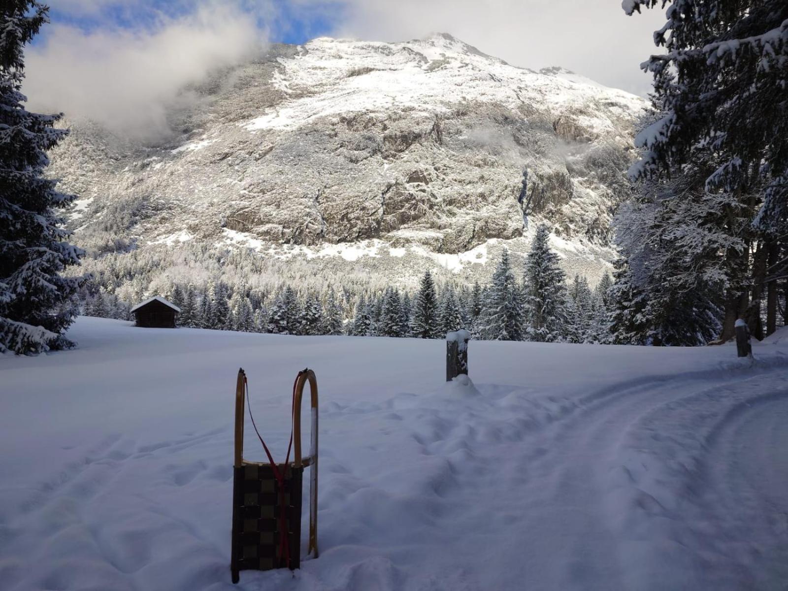 Hotel Garni Isarlodge Wiesenhof Scharnitz Eksteriør bilde